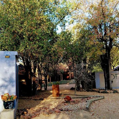 Off Beat Safaris Bush Lodge โฮดสปรูท ภายนอก รูปภาพ