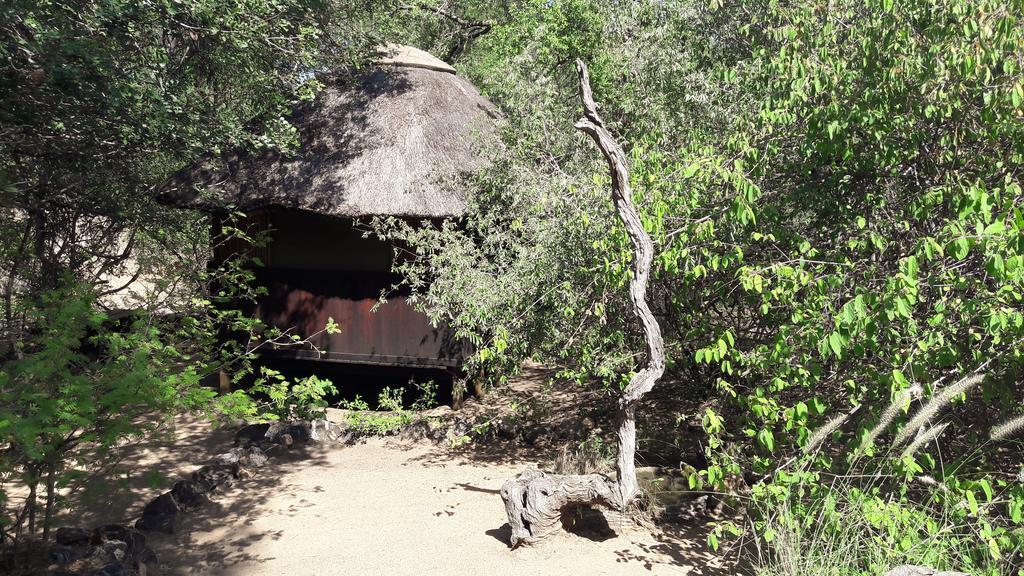 Off Beat Safaris Bush Lodge โฮดสปรูท ภายนอก รูปภาพ