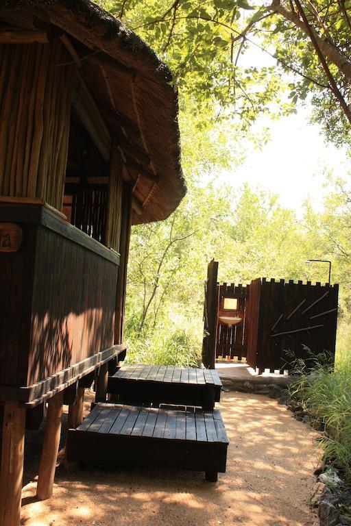 Off Beat Safaris Bush Lodge โฮดสปรูท ห้อง รูปภาพ