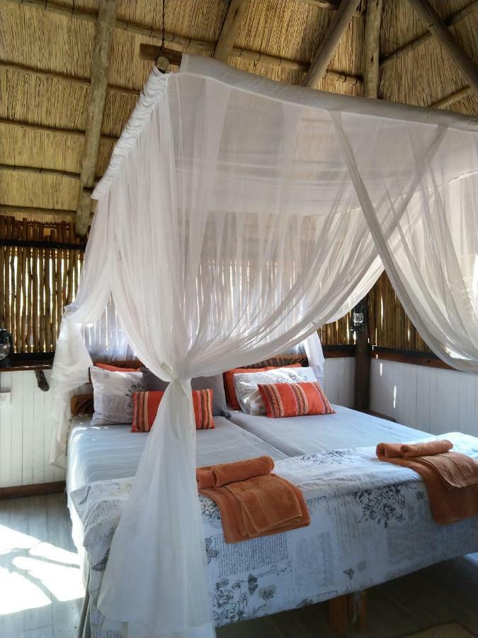 Off Beat Safaris Bush Lodge โฮดสปรูท ภายนอก รูปภาพ