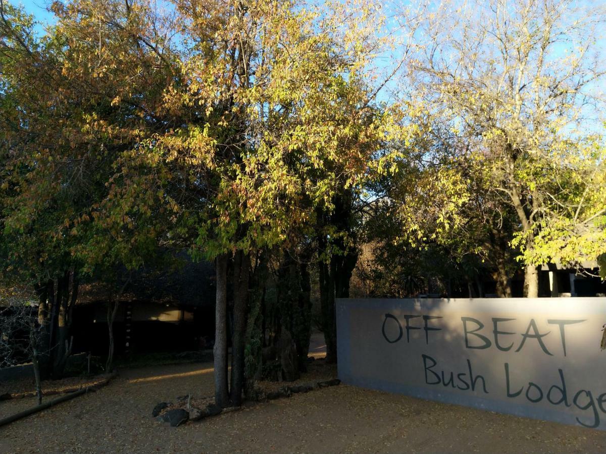 Off Beat Safaris Bush Lodge โฮดสปรูท ภายนอก รูปภาพ