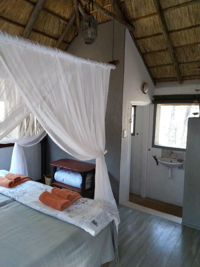 Off Beat Safaris Bush Lodge โฮดสปรูท ภายนอก รูปภาพ